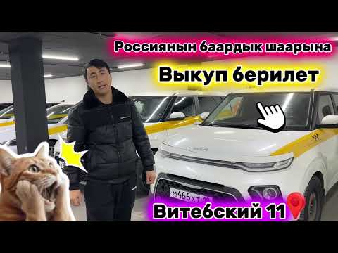 Видео: 🚨Срочно ⏩️ Выкупка машиналар берилет  шаашылыныздар….::📲89213332255