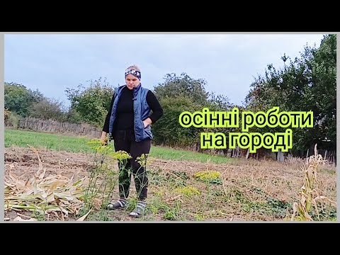 Видео: Розвели бур’яни — то тепер і маємо роботу!