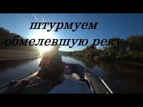 Видео: Поднимаемся в тайгу за ХАРИУСОМ. Yamaha 25 водометная насадка Sea-Pro. Лодка Reef 450 Jet