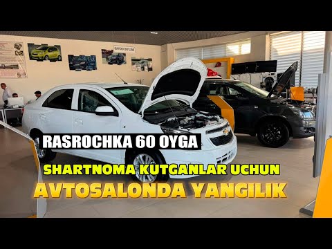 Видео: Avtosalonda yangilik Cobaltga shartnoma online bo'ladi Кобалтга шартнома очилади