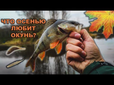 Видео: Капризный окунь. Как ловить на микроджиг? Crazy Fish Arion 702ULS.