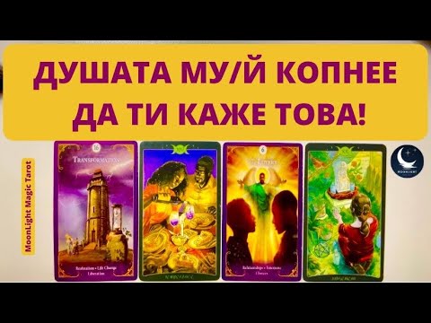 Видео: ❤️ДУШАТА МУ/Й КОПНЕЕ ДА ТИ КАЖЕ ТОВА!❤️ | Timeless ✨