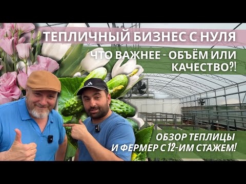 Видео: От опилок до гидропоники: технологии выращивания тюльпанов. Секреты успешного бизнеса. 