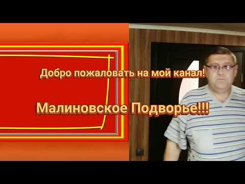 Видео: ЭКСПЕРЕМЕНТ С ПЕРЕПЕЛАМИ ( Феникс + Техасец =?)