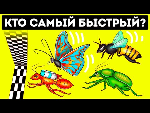 Видео: Вы не поверите, кто самые быстрые жуки | Странные факты о животных!