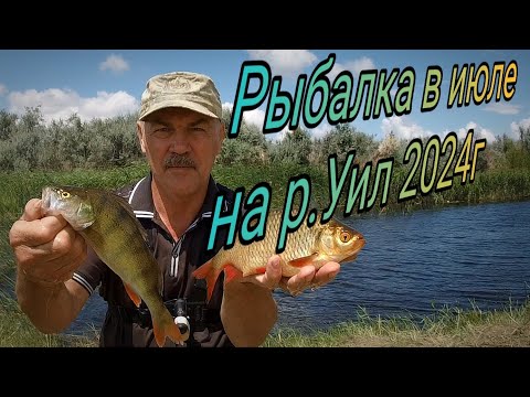 Видео: Рыбалка в июле на р. Уил Актюбинская обл щука, окунь, краснопёрка. Праздник удался. С днем рыбака!