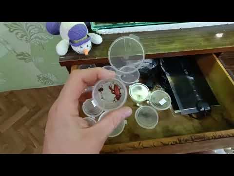 Видео: Лучший способ разведения зофобаса