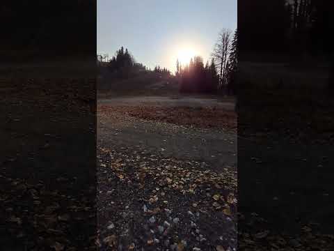 Видео: 9 ноября 2025 г.