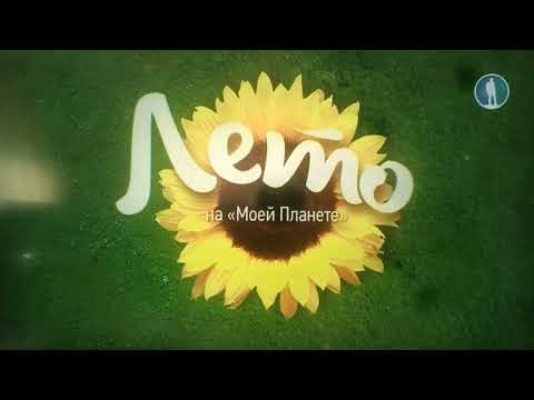 Видео: Уход и выход с профилактики телканала "Мля планета" (17.07.2024)