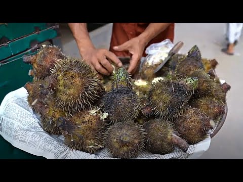 Видео: Лисий орех ( семена водяной лилии)/Mahana  | Как он растет?