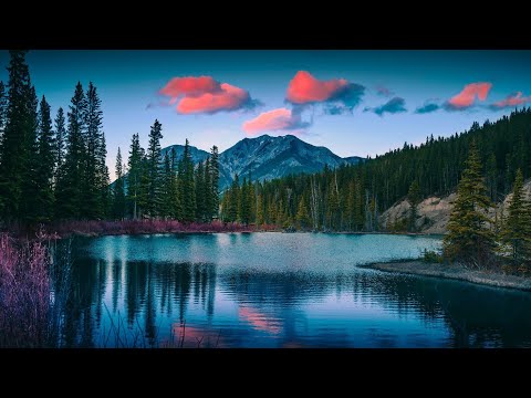 Видео: ну ты это заходи если что)