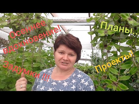 Видео: Перспективные ампели на следующий сезон! Уже планы и проекты😉!!!