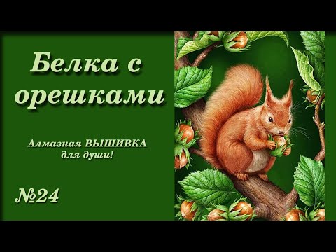 Видео: #24 Белка с орешками. Процесс! Алмазная ВЫШИВКА для души!