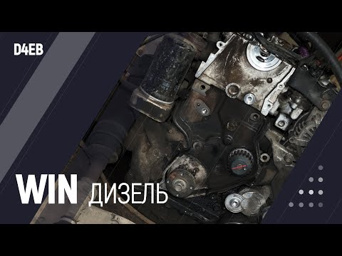 Видео: Win Дизель | D4EB