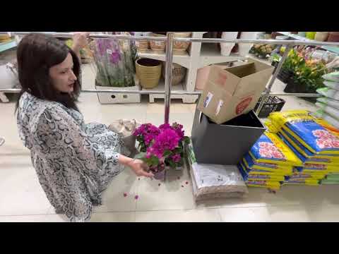 Видео: Садовый центр Агро-ОПТ в Махачкале / Обзор поставки от 28.05.2022