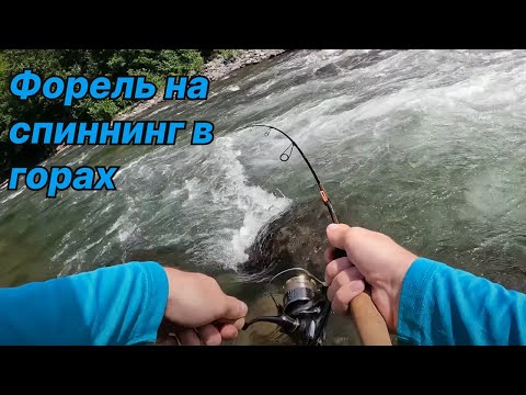 Видео: ФОРЕЛЕВАЯ РЫБАЛКА В ГОРАХ. Ручьевая форель в горной реке (4K)
