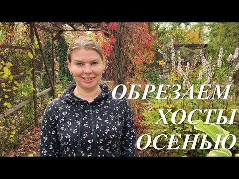 Видео: Обрезка хост осенью. Когда, как, чем и зачем обрезать хосты осенью