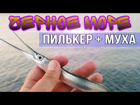 Видео: Как поймать на пилькер Новичку! Ставрида на каждом забросе, Сарган атакует!