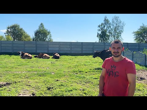 Видео: Муж ушел из дома. Пришлось уехать в город. Что здесь вообще происходит? Жизнь простых людей.