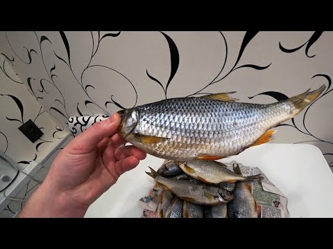 Видео: Вяленая Рыба по Дальневосточному. Как ПРАВИЛЬНО Сушить, Солить, Вялить, Хранить Рыбу! Плотва Тарань