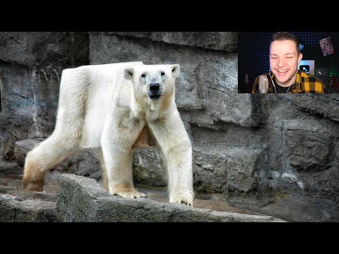 Видео: ПРОКЛЯТЫЕ МАЙНКРАФТ МЕМЫ