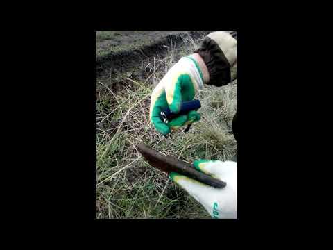 Видео: коп с MD 3010 II И тест AR 944