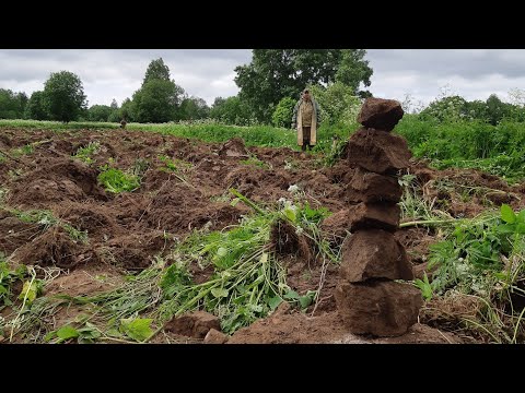 Видео: Квадрики Трактора БИОТЕХНИЯ