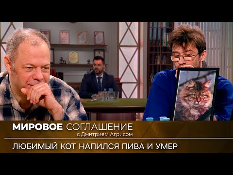 Видео: Мировое соглашение. Эфир от 19 февраля 2024 года