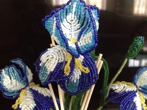 Видео: ИРИСЫ из БИСЕРА. Часть 1/3. TUTORIAL: Beaded IRIS. БИСЕРОПЛЕТЕНИЕ для НАЧИНАЮЩИХ