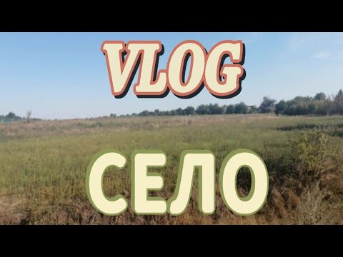 Видео: СЕЛЬСКИЙ ВЛОГ: ухаживаем за коровами #2