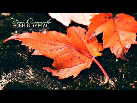Видео: Тони Димитрова - Есен в Бургас