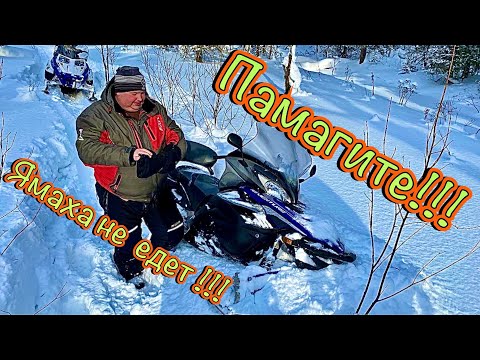 Видео: 04.02.23 Покатушки на снегоходах. Медвежья поляна.