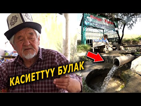 Видео: КОТУР булак || КАНДАЙ ООРУЛАРГА пайда!!