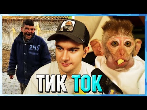 Видео: Братишкин СМОТРИТ ТИК ТОК (50 ЧАСТЬ)