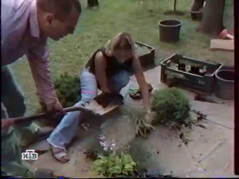 Видео: Ирина Аллегрова в программе "Растительная жизнь" 2001 год