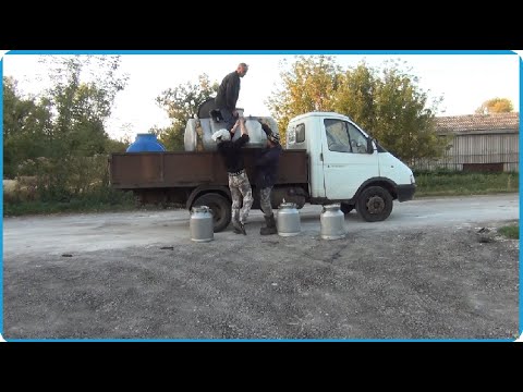 Видео: ВРОДЕ ВСЁ КАК ВСЕГДА, А В КОНЦЕ ТАКОЕ ГОРЕ, ЖИЗНЬ В КУРСКОЙ ДЕРЕВНЕ