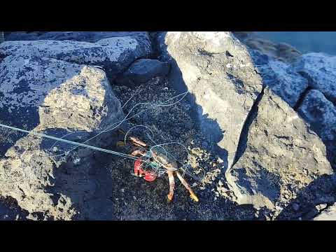 Видео: Утро на яхте. Тенерифе.   #sailboat, #яхта, #Тенерифе