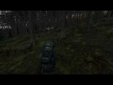 Видео: Dayzишим