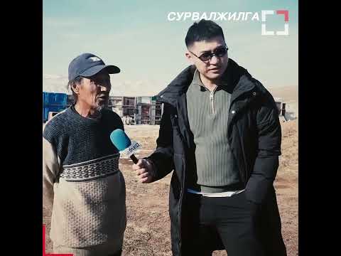 Видео: Түүнийг Энхбулаг гэдэг. Улаанчулуутын хогийн цэгт хаягдсан гөлгүүдийг тэжээсээр 50 гаруй нохойтой.