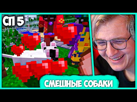 Видео: [ #17 ] Пятёрка разводит Смешных Собак на #СП5 - Лучший Сервер в Майнкрафте