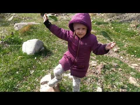 Видео: 2021 04 23 Малиновое ущелье (Бир Булак) Кыргызстан