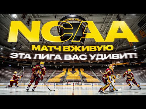 Видео: NCAA - ШОК! Студенты живут лучше, чем НХЛ? Невероятные условия в универах США и стипендия $40.000