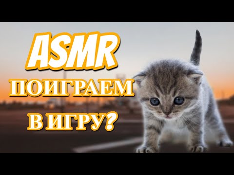 Видео: АСМР для УМНЫХ КОТЯТ! | asmr