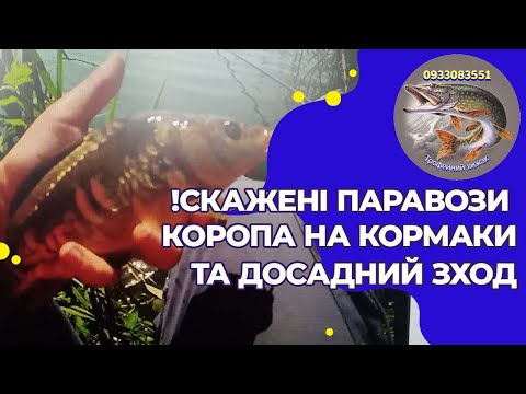 Видео: !!СКАЖЕНІ ПАРАВОЗИ КОРОПА ТА ДОСАДНИЙ ЗХОД!!!