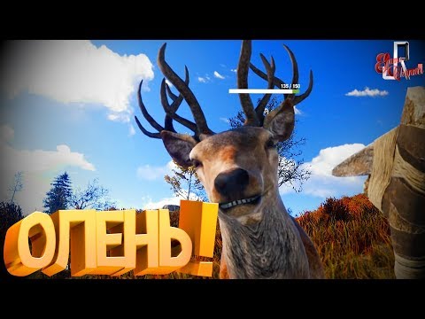 Видео: Олень ( Rust / CS GO )