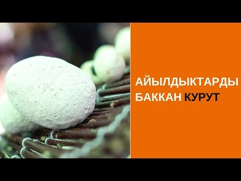 Видео: Айылдыктарды баккан курут