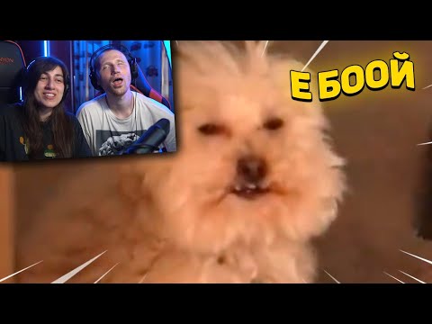 Видео: 528 СЕКУНД СМЕХА | ЗАСМЕЯЛСЯ - ПРОИГРАЛ | ЛЮТЫЕ ПРИКОЛЫ |ЛУЧШИЕ ПРИКОЛЫ | Реакция