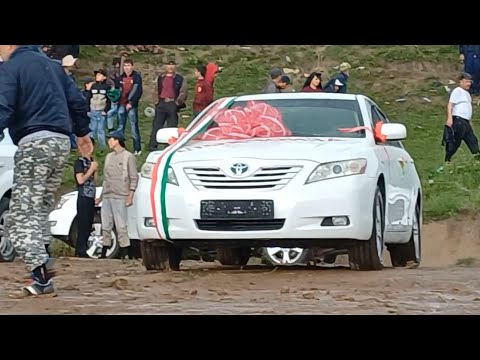 Видео: ГУШТИНИ ХОВАЛИНГ ШОҲҶОИЗА 26.05.2024