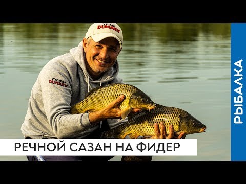 Видео: Ловля речного сазана на фидер в мае