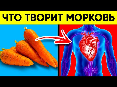 Видео: ВОТ ЧТО ТВОРИТ МОРКОВЬ! (Реальная Польза и Вред Моркови)